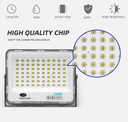 Lámpara Flood Light SMD TOP, 100W, CW 6000K, 100-265Vac, IP65, 120 Grados, Negra, Dimensiones: 248x329x25mm