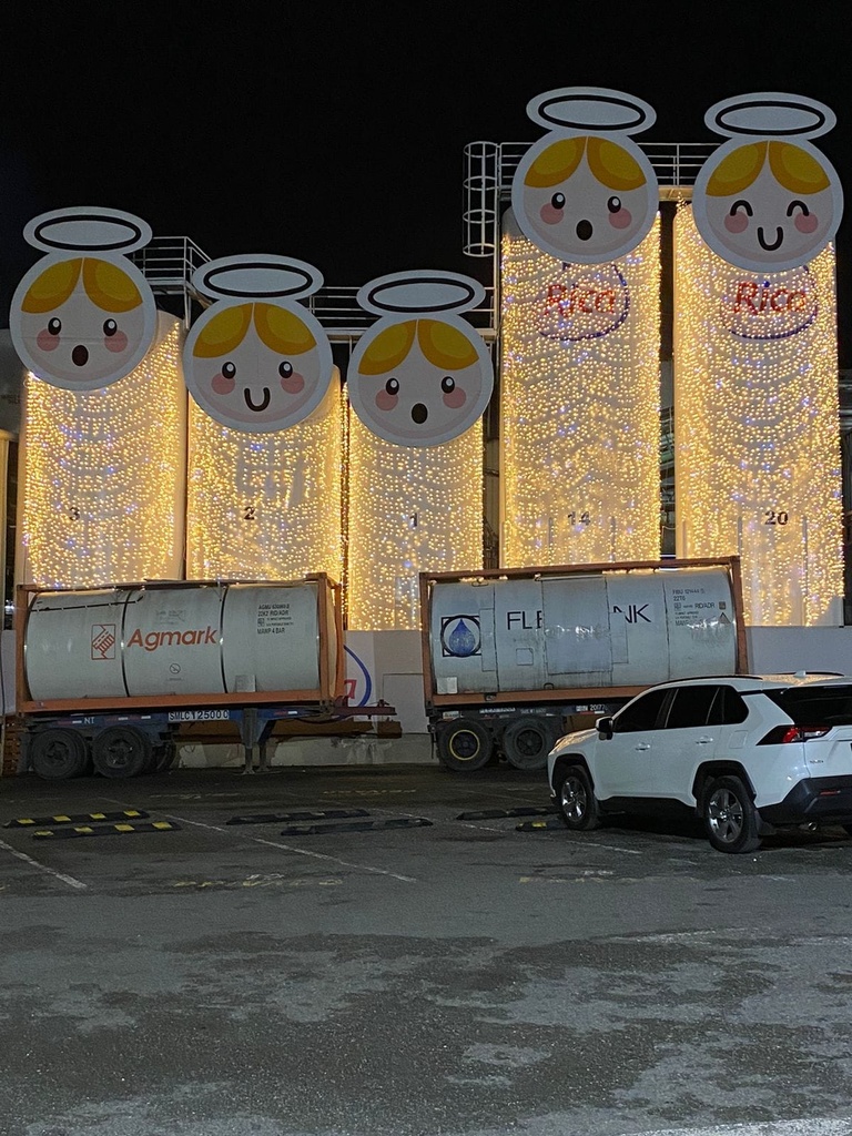 Cortina tipo Cascada LED p/Exterior, 108W, 2700K + CW 6000K Flash, 110Vac, 1800pcs de LED, 20 tiras, 2Mx9M, Con cable blanco, Con conector T, IP55