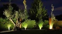 Lámpara Estaca Spot Light de Jardín tipo COB, 3W, 6000K Blanco Frío, 100-265Vac, IP65, 45 Grados