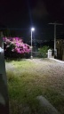 Lámpara Solar de Calle LED de 40W con Panel Integrado de 21W, 13.5V y Sensor de Movimiento, SMD2835 x 90pcs, 5000K, 140x70 Grados, Con Batería de Litio 115.2Wh, 9.6V, 12000mAh, IP65, Negra, 150Lm/W