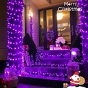 Extensión Navideña LED p/Exterior, 8W, 1700Lm, Púrpura, 200LED/10Metros, 110Vac, Con cable clear de cobre 3xφ0.2mm2, IP44