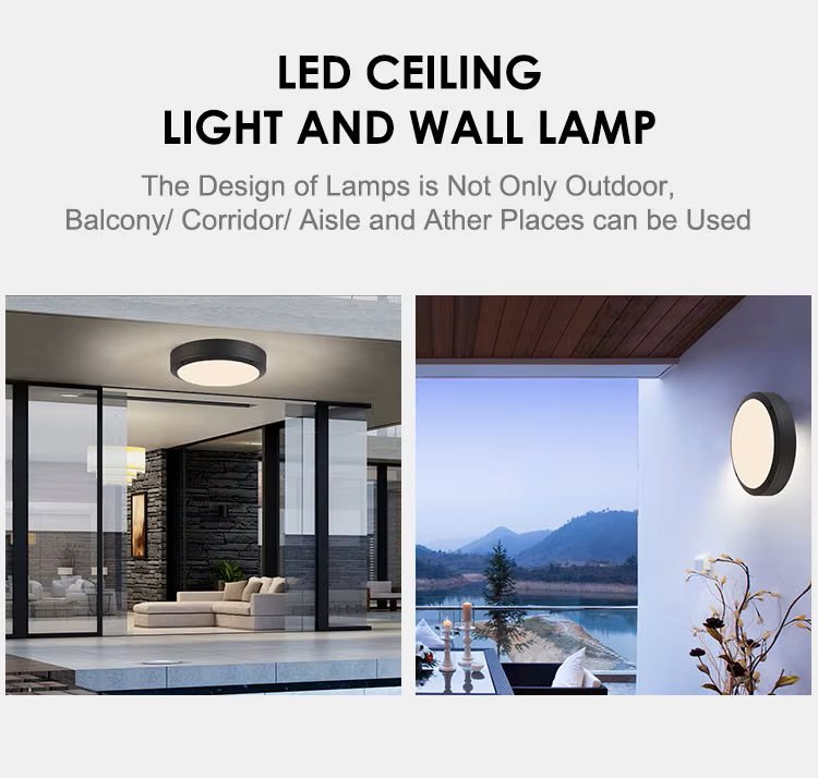 Lámpara LED de Pared o Techo (Aplique), Neptuno, 24W, 4000K Blanco Natural, 100-277Vac, IP65, Negro, 120 Grados, Dimensiones: 220x73mm, Uso exterior e interior