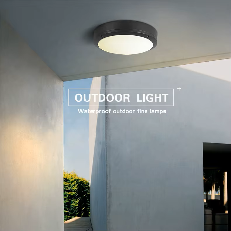 Lámpara LED de Pared o Techo (Aplique), Neptuno, 40W, 4000K Blanco Natural, 100-277Vac, IP65, Negro, 120 Grados, Dimensiones: 300x90mm, Uso exterior e interior