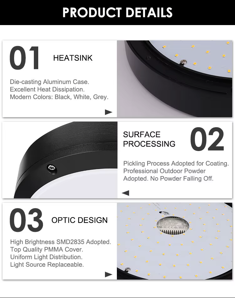 Lámpara LED de Pared o Techo (Aplique), Neptuno, 40W, 4000K Blanco Natural, 100-277Vac, IP65, Negro, 120 Grados, Dimensiones: 300x90mm, Uso exterior e interior