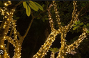 Extensión Navideña LED p/Exterior, 8W, 1700Lm, 2700K Blanco Cálido, 200LED/10Metros, 110Vac, Con cable verde de cobre 3xφ0.2mm2, IP44