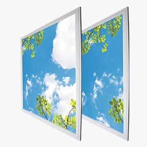 Set de 12pcs Kit Panel LED Cuadrado, p/Empotrar Decorativo con Imagen de Hojas Verdes, IP20, 40W, 2'x2' (600x600mm), 100-277Vac, Borde Blanco