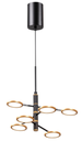 Lámpara LED Decorativa Colgante, DG50917P, 50W, 6000K Blanco Frío, 85-265Vac, Dimensiones: 800x800x1500mm, IP20, Dorado
