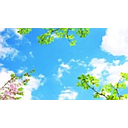 Set de 4pcs Kit Panel LED Cuadrado, p/Empotrar Decorativo con Imagen de Hojas Verdes, IP20, 40W, 2'x2' (600x600mm), 100-277Vac, Borde Blanco