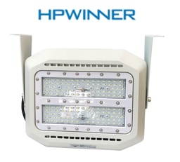 [DGPR-1024241] Lámpara Tunnel Light LED Modular TS21C-2, 100W, 5000K, M16B (63x2), 2340, Type I Short, 100-277Vac, IP68, Blanca, 135Lm/W